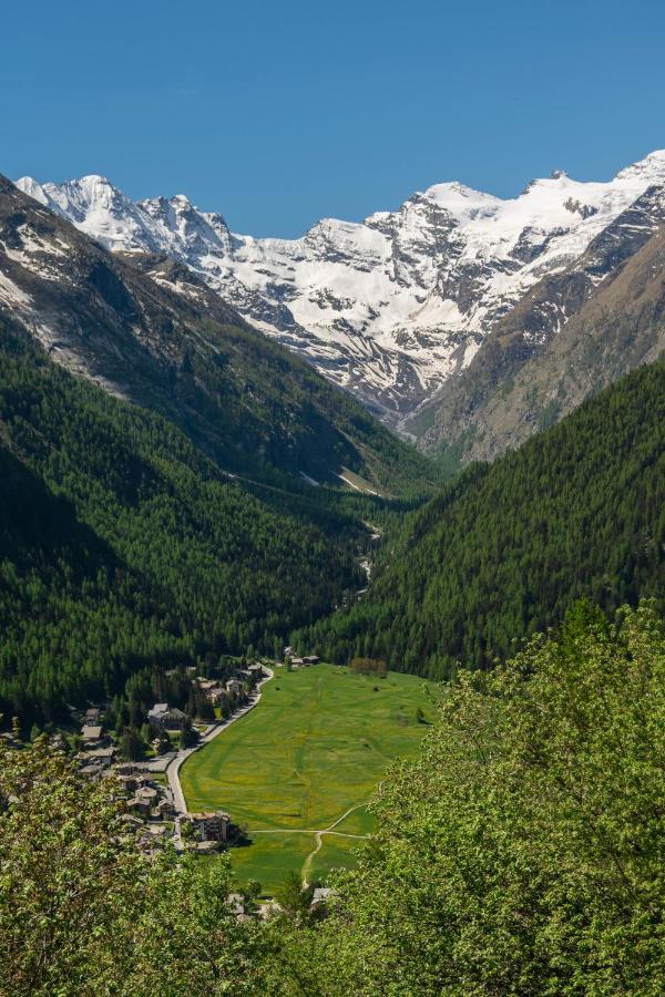 Ferienwohnung Nido Delle Aquile Cogne Exterior foto