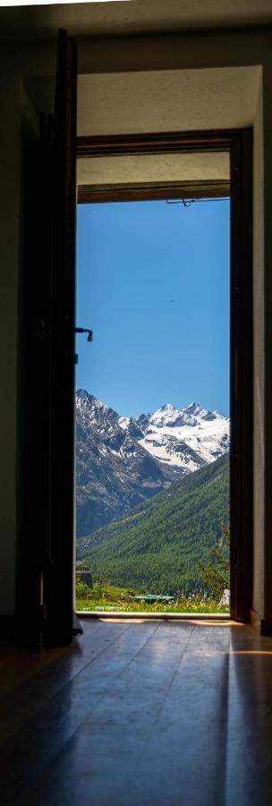 Ferienwohnung Nido Delle Aquile Cogne Exterior foto